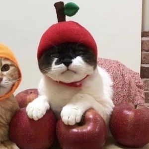 Meet your Posher, Agatha